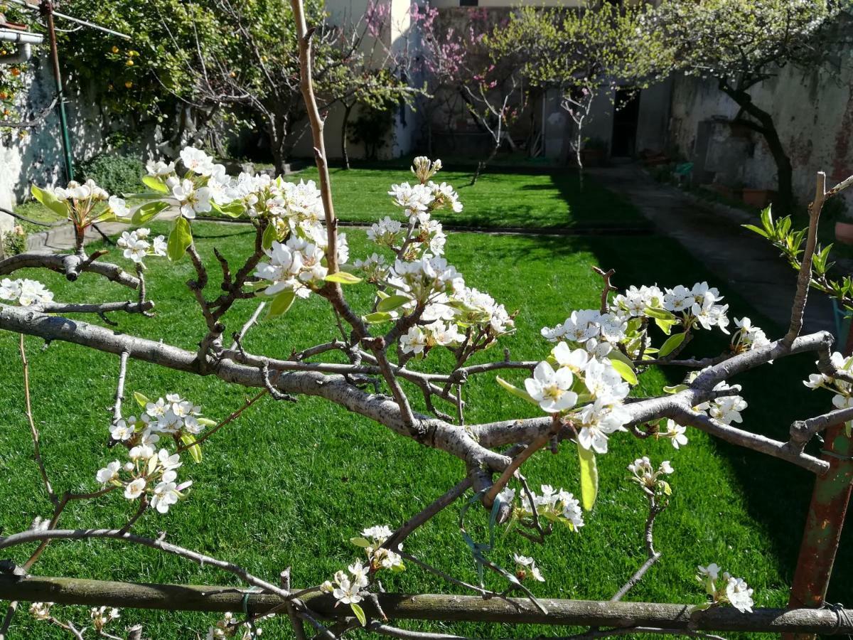 Giardino Antico Appartamento Apartment Pisa