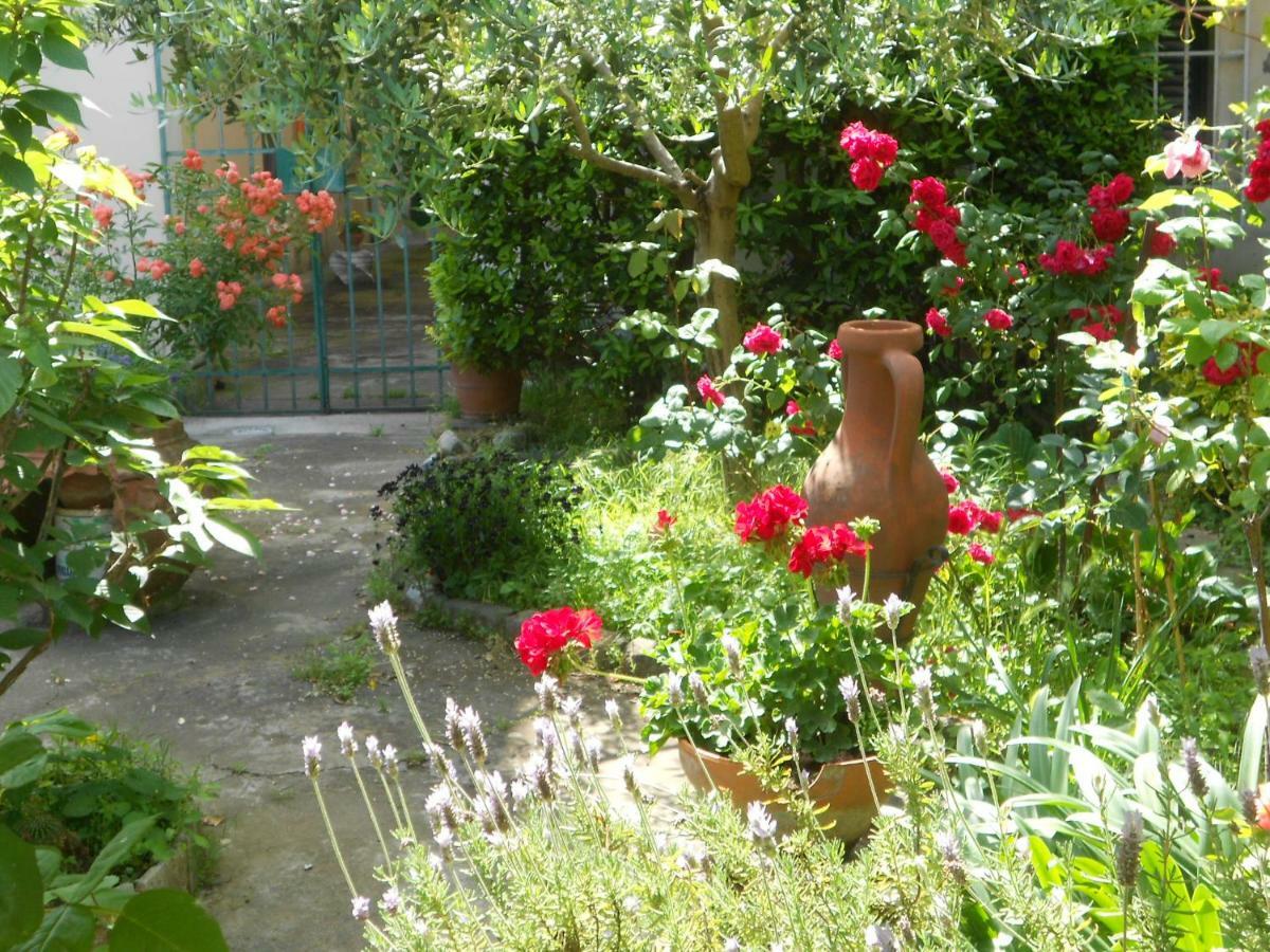 Giardino Antico Appartamento Pisa